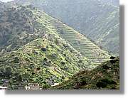 Gomera_199.jpg
