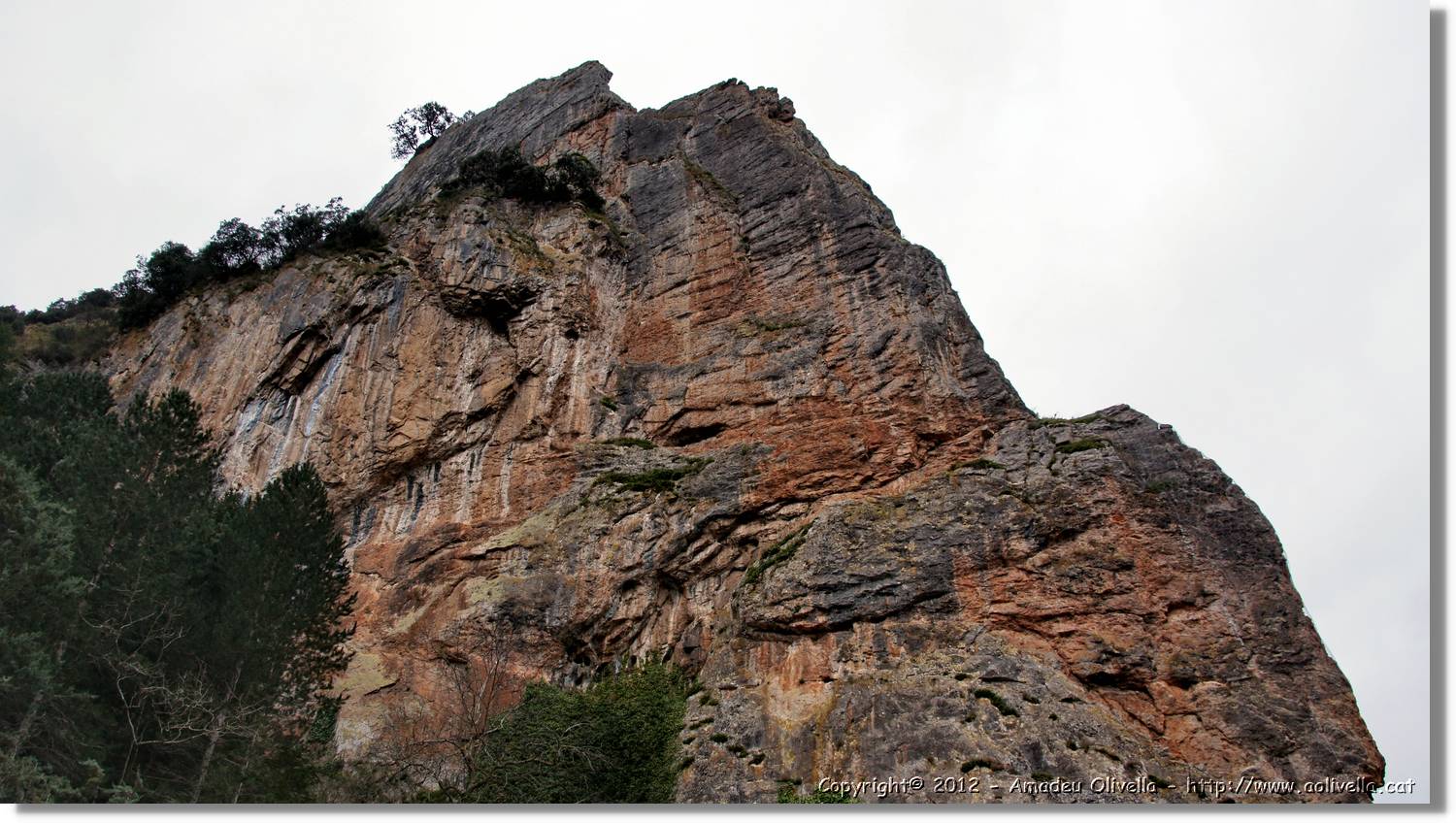 1_Anguiano_002.jpg