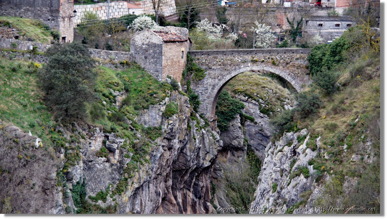 1_Anguiano_010.jpg