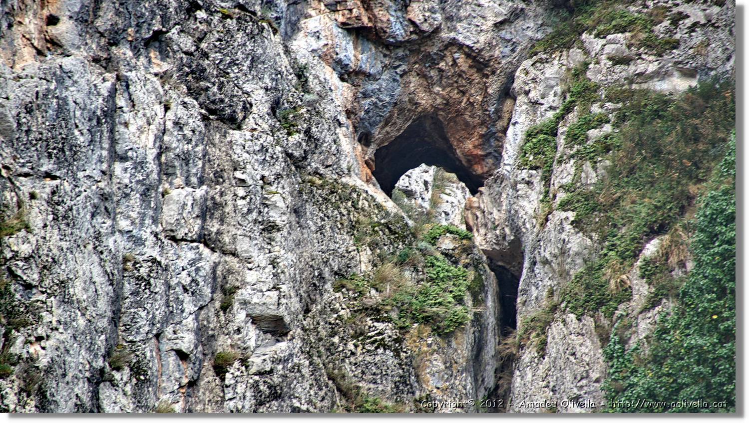 1_Anguiano_014.jpg