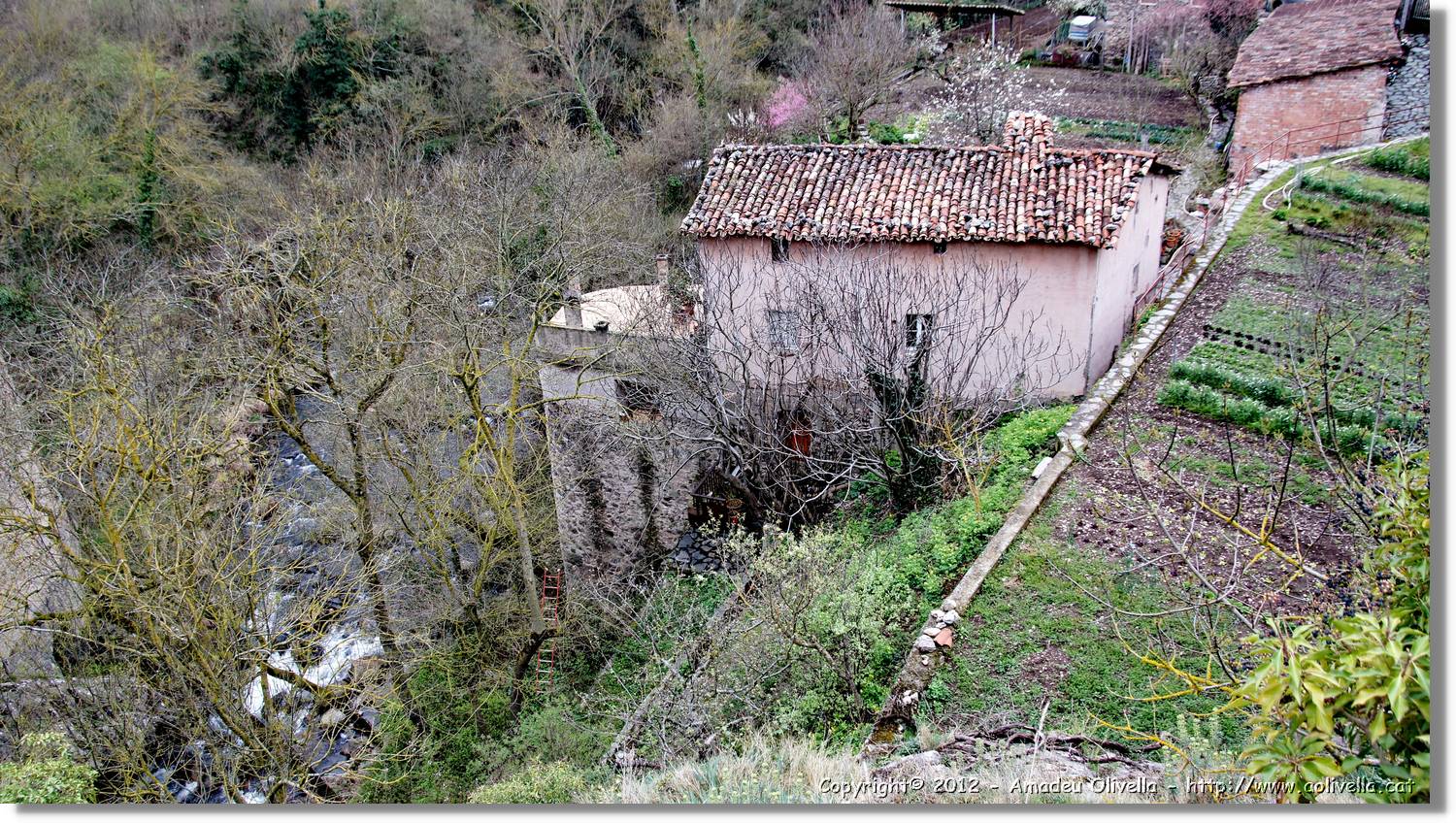 1_Anguiano_020.jpg