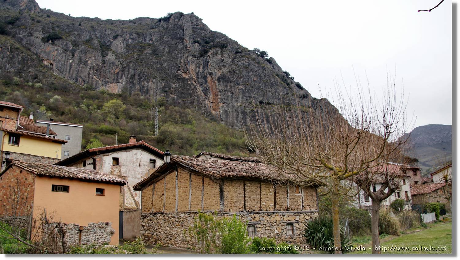 1_Anguiano_023.jpg