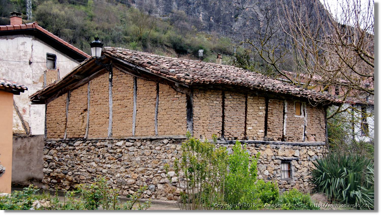 1_Anguiano_024.jpg