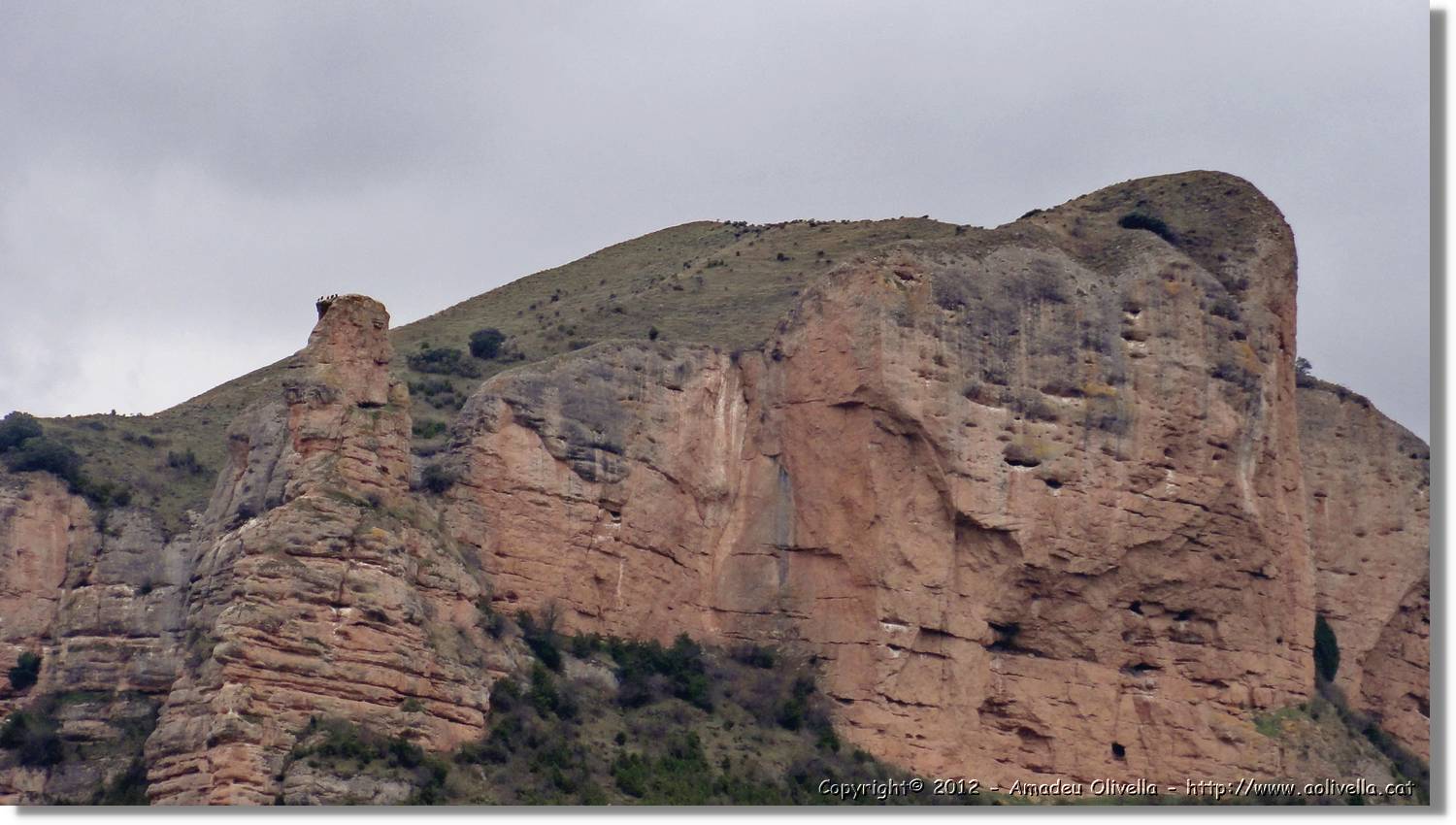 6_Viguera_181.jpg