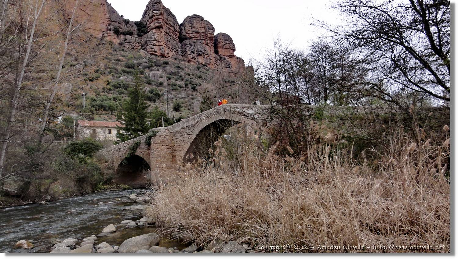 6_Viguera_189.jpg