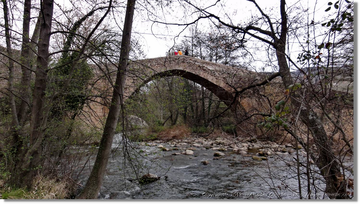 6_Viguera_191.jpg