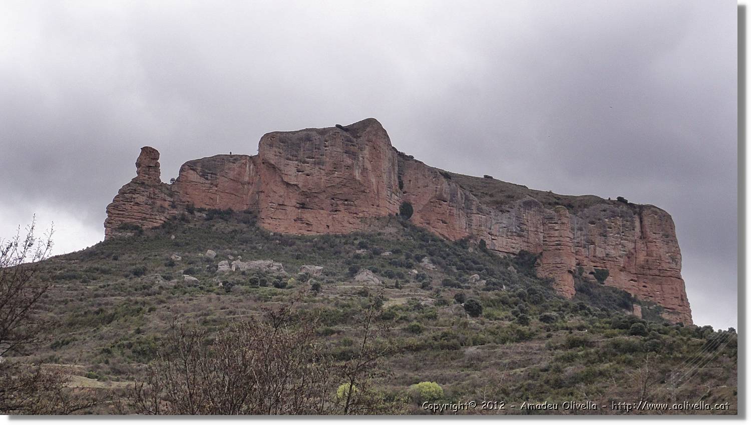 6_Viguera_193.jpg