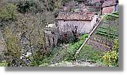 1_Anguiano_020.jpg
