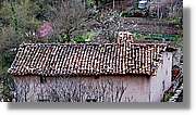 1_Anguiano_021.jpg