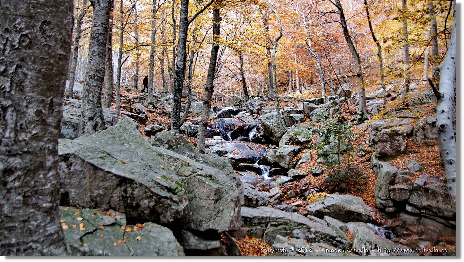 Montseny_105.jpg