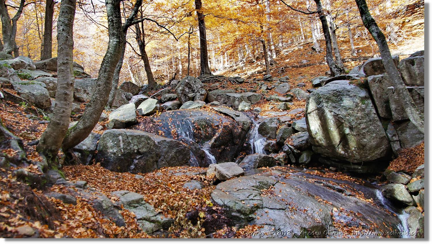 Montseny_109.jpg