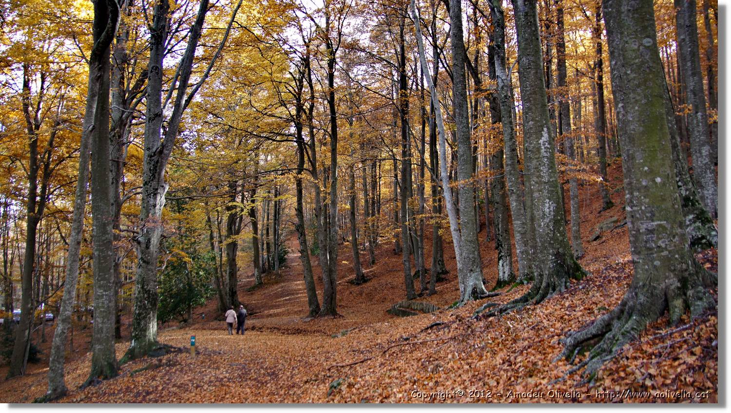 Montseny_120.jpg