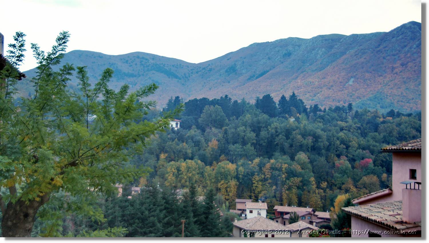 Montseny_164.jpg