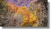 Montseny_088.jpg