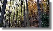 Montseny_091.jpg