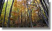 Montseny_096.jpg