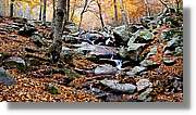 Montseny_106.jpg