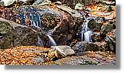 Montseny_110.jpg