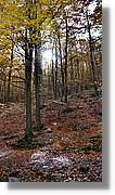 Montseny_114.jpg