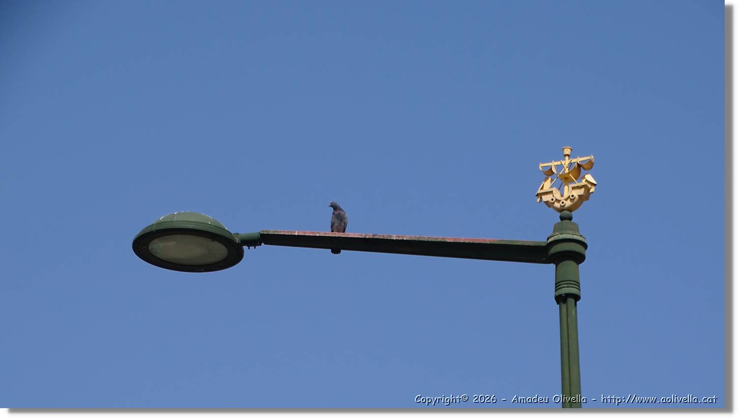 Lisboa_207.jpg
