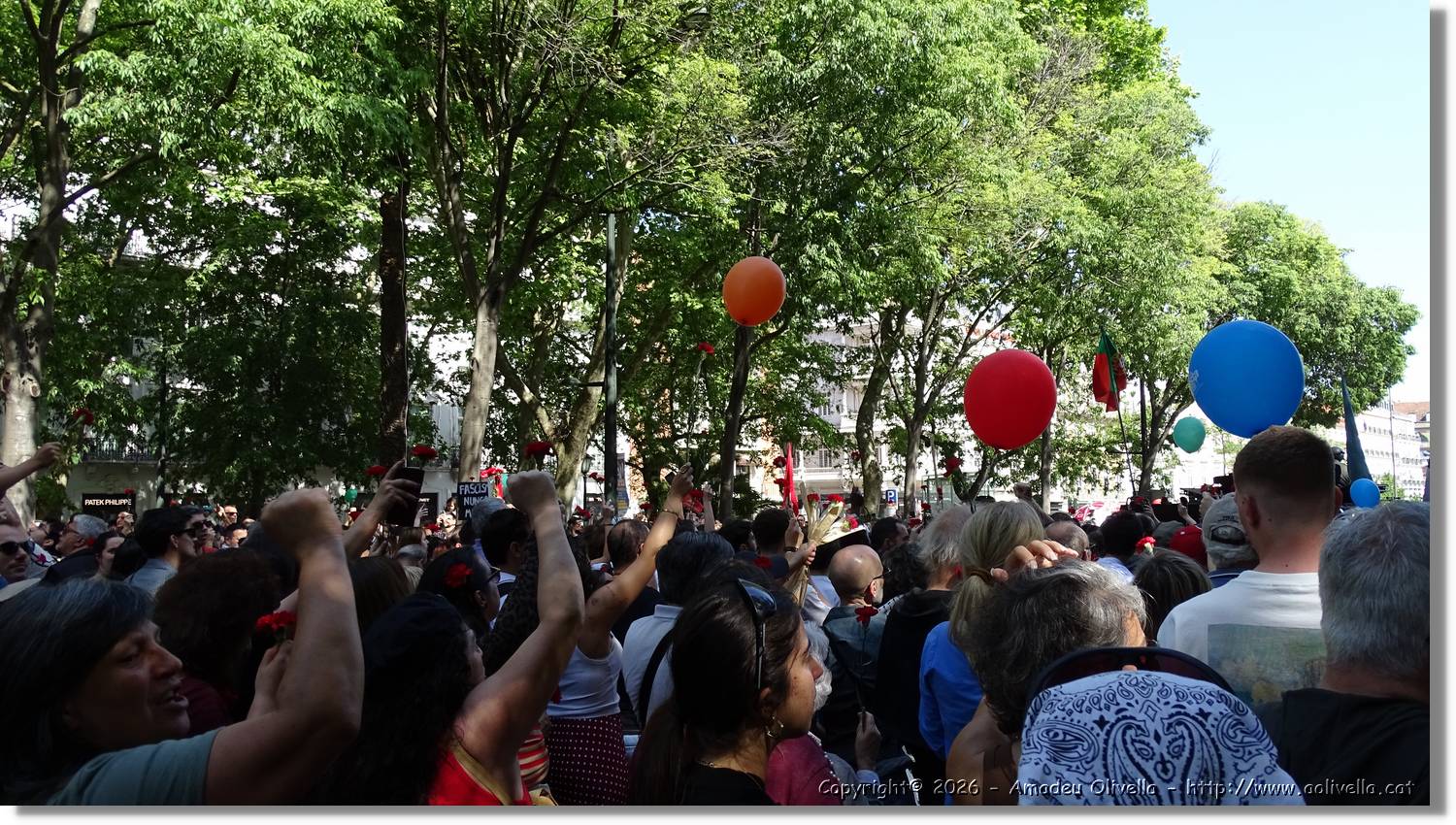 Manifestació_009.jpg