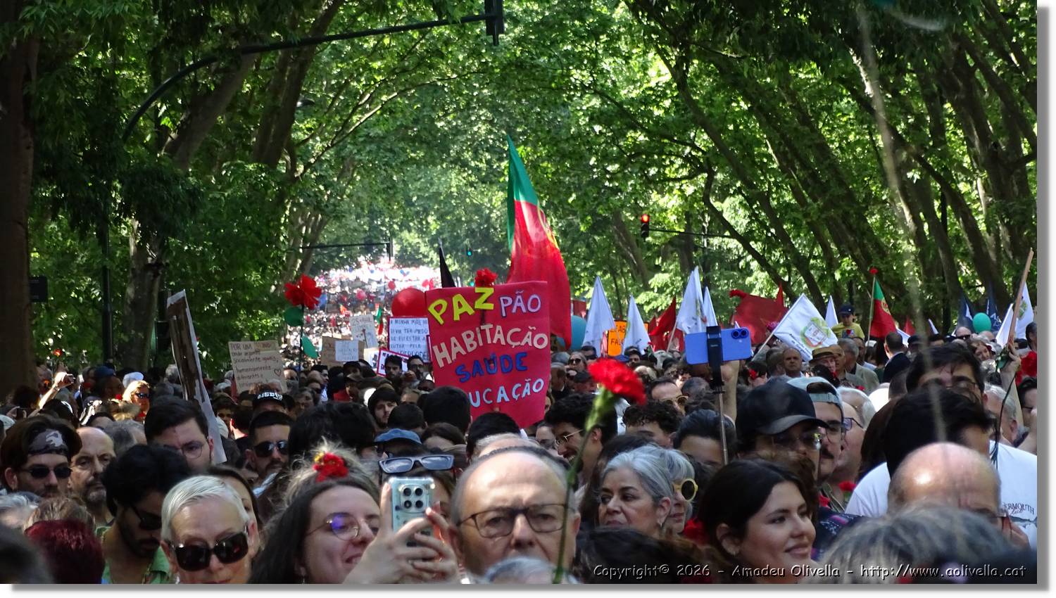 Manifestació_011.jpg