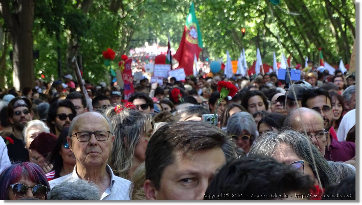 Manifestació_012.jpg