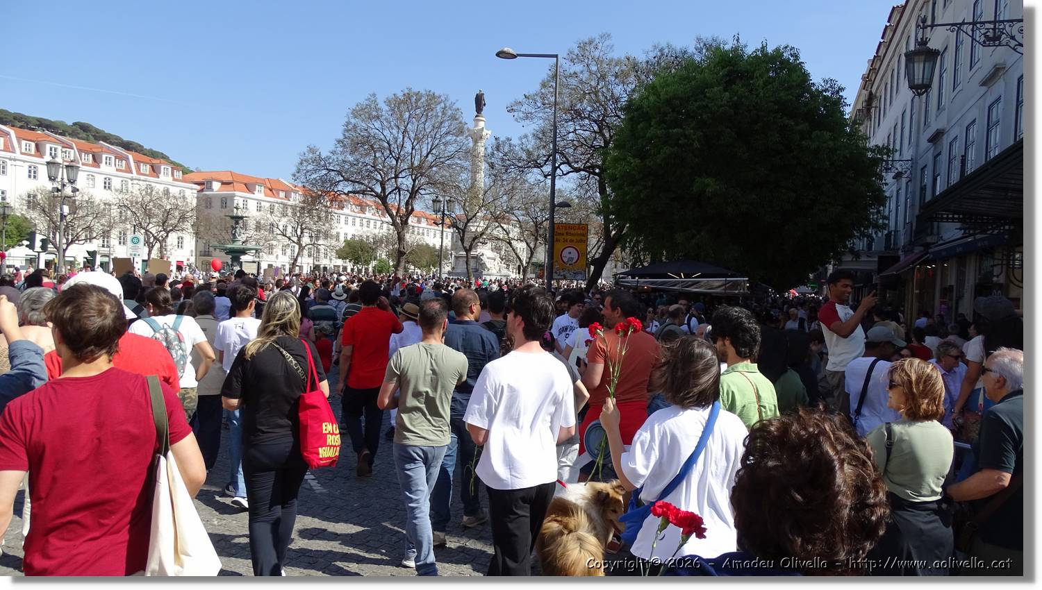 Manifestació_028.jpg