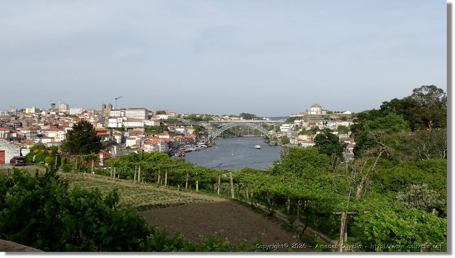 Porto_169.jpg
