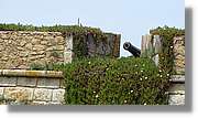 Porto_096.jpg