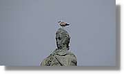 Porto_117.jpg