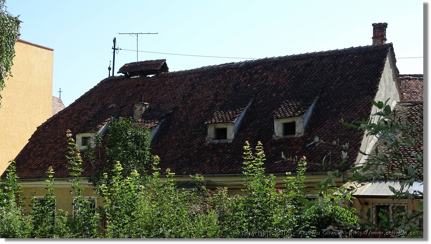 Brasov_026.jpg