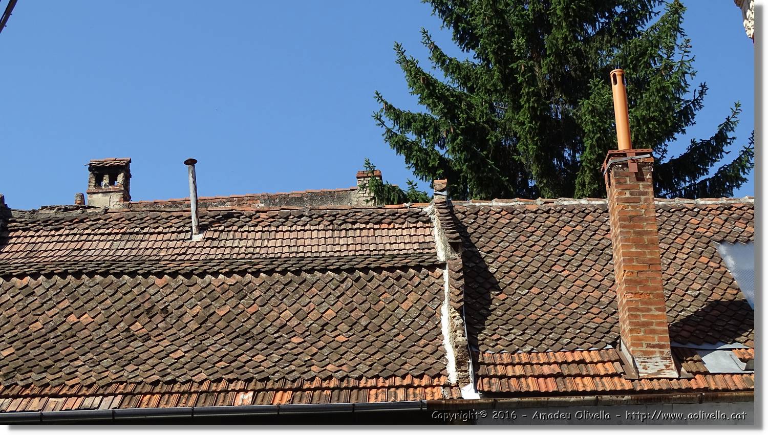 Brasov_037.jpg