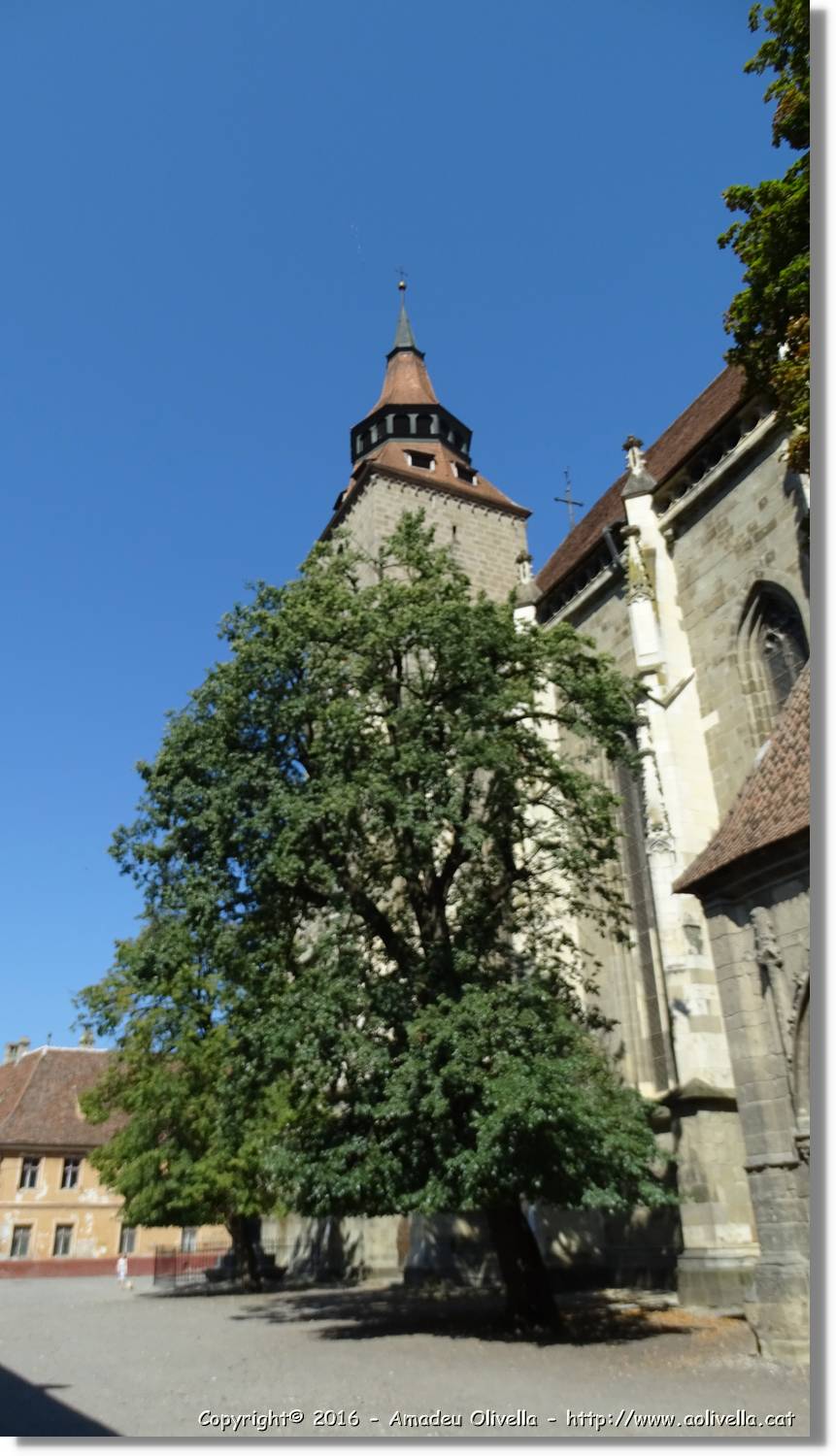 Brasov_085.jpg