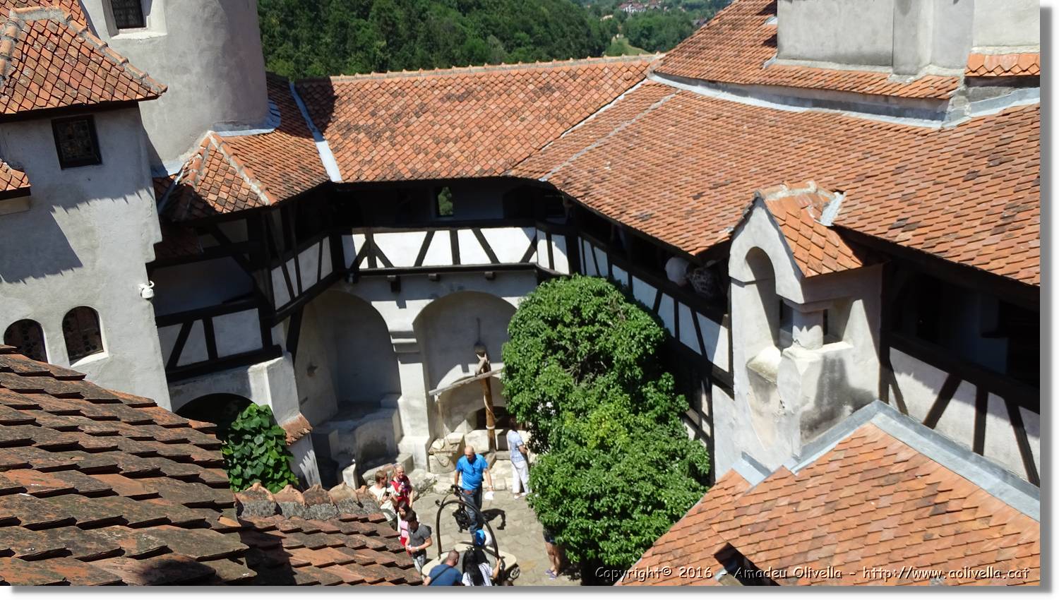 Castell_Bran_023.jpg