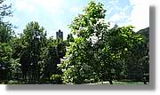 Castell_Bran_041.jpg