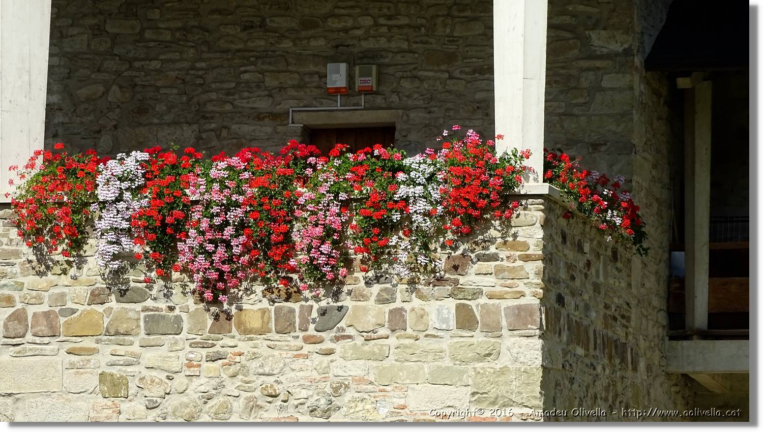Monestirs_074.jpg