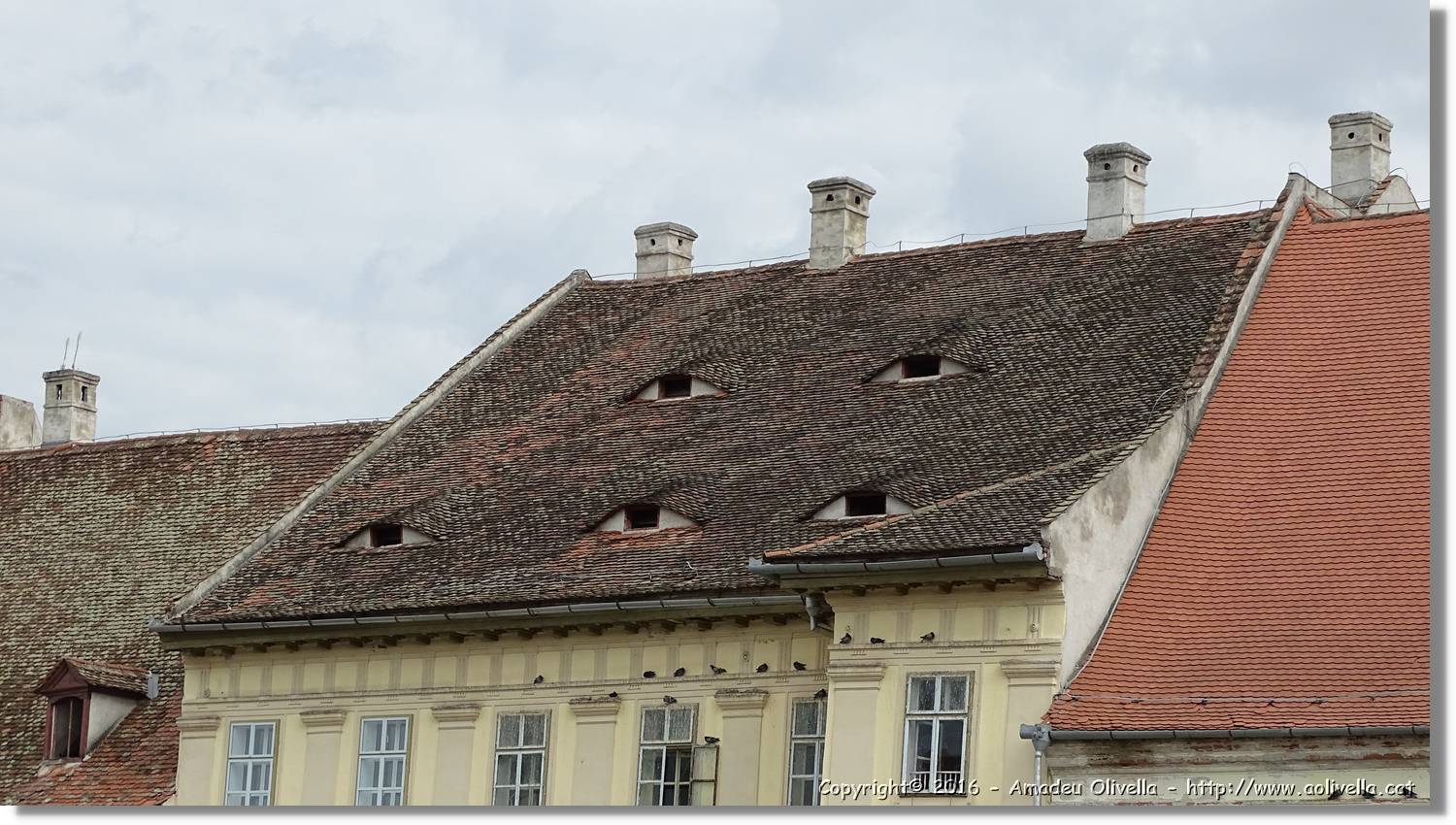 Sibiu_025.jpg