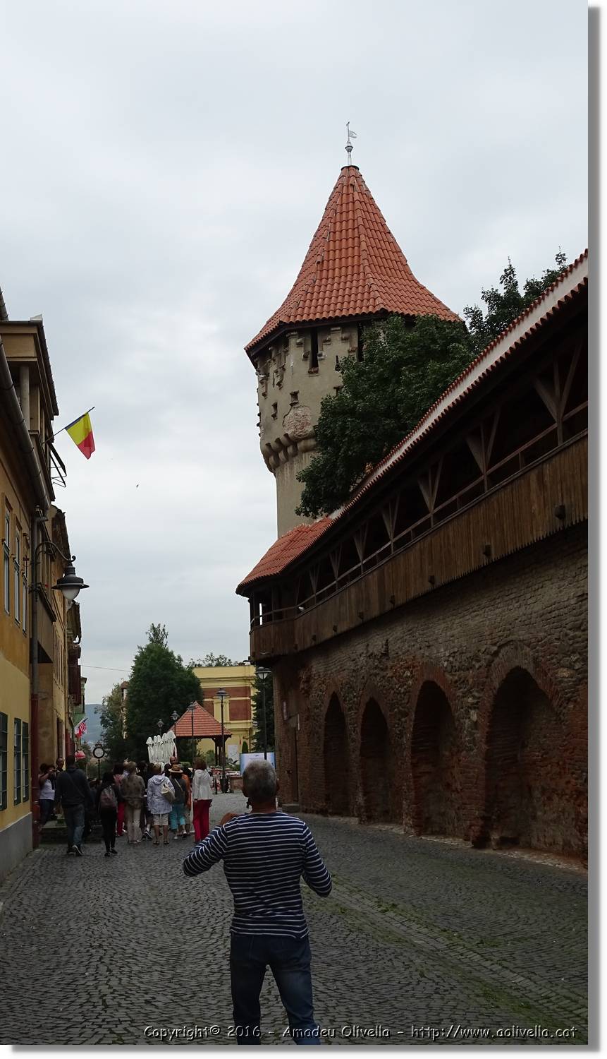 Sibiu_122.jpg