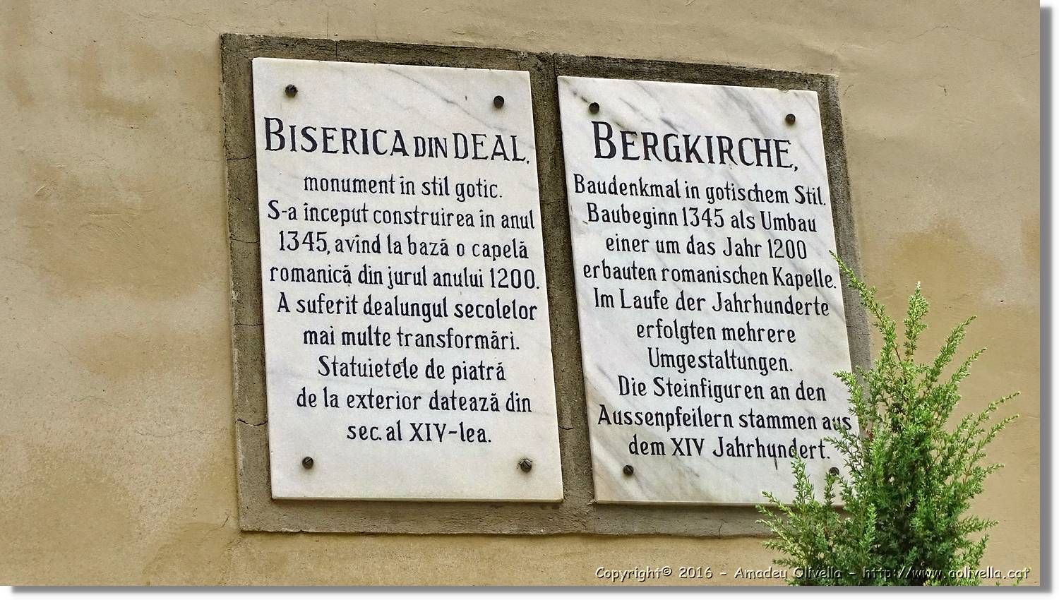 Sighisoara_023.jpg