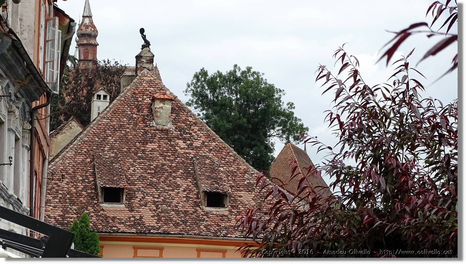 Sighisoara_026.jpg