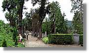 Sighisoara_024.jpg