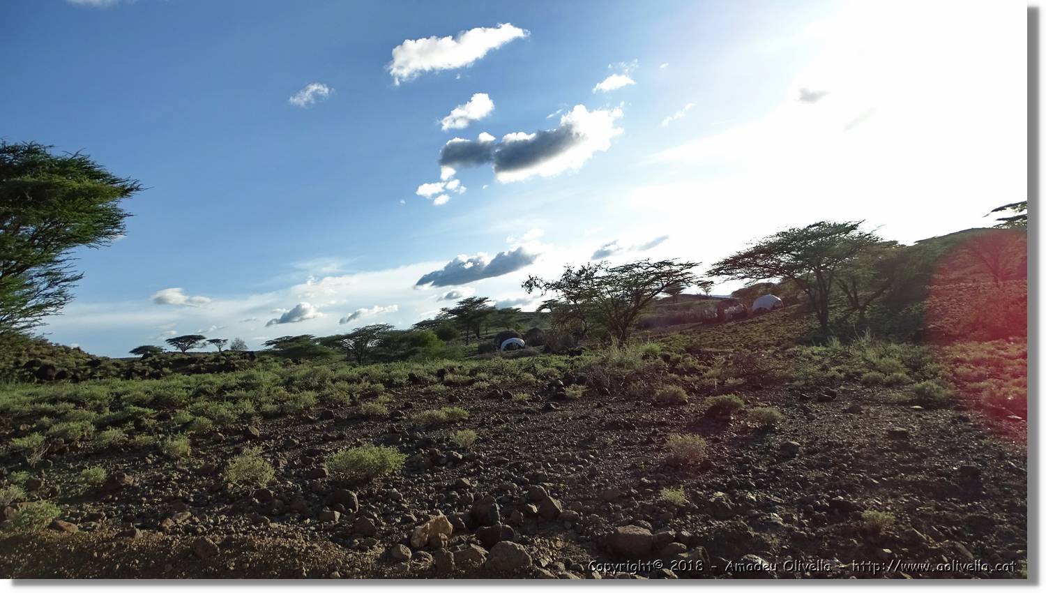 1-Turkana_130.jpg