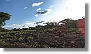 1-Turkana_130.jpg