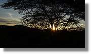 1-Turkana_146.jpg