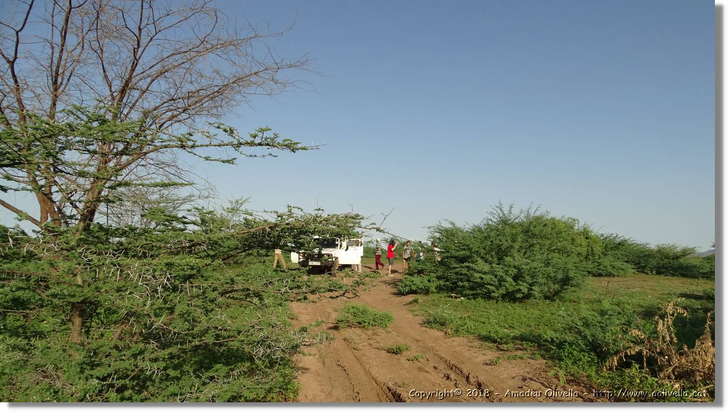 2-Turkana_201.jpg
