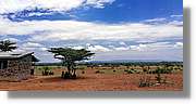 2-Turkana_159.jpg