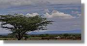 2-Turkana_164.jpg