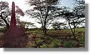 2-Turkana_181.jpg