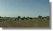 2-Turkana_189.jpg